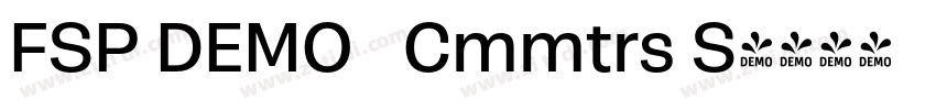 FSP DEMO   Cmmtrs S字体转换